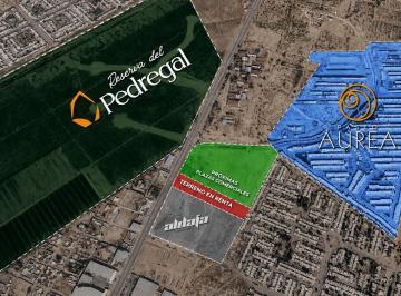 Terreno / Lote · 6440m² · Terreno Comercial en Renta, Antigua Carretera Torreón San Pedro