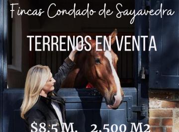 Terreno / Lote · 2500m² · Terreno en Venta Fincas Condado de Sayavedra
