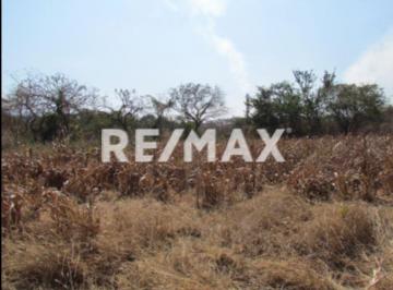 Terreno / Lote · 55987m² · Terreno en Venta en Morelos, Ayala
