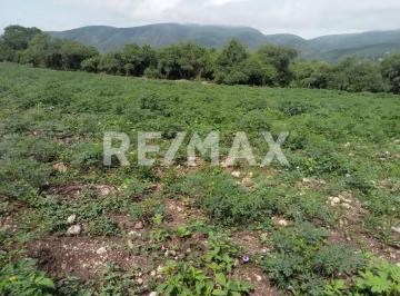 Terreno / Lote · 24500m² · Terreno en Pueblo Tlaltizapan de Pacheco