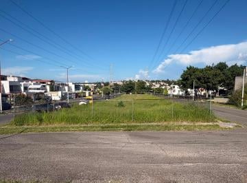 Terreno / Lote · 1639m² · Terreno en Venta en Lomas de San Gonzalo - (4)