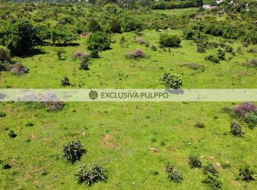 temp_image_for_default_share (7).PNG · La Longaniza: Terreno Residencial en Venta en Malinalco
