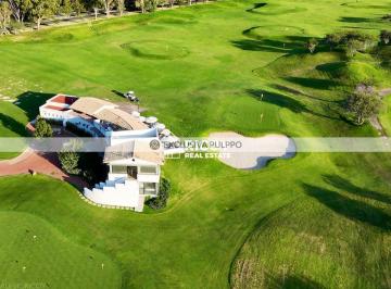 Zirándaro Lavanda 26.jpg · Zirándaro: Terreno Residencial en Venta en Zirándaro