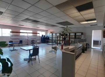 Edificio · 1800m² · 8 Estacionamientos · Edificio de Oficinas en Renta en Cuauhtémoc Doctores Gis 24 - 301