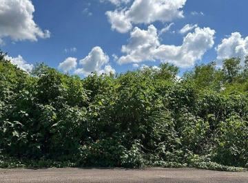 Terreno / Lote , Conkal · Terreno en Venta en Conkal Mérida Yucatán