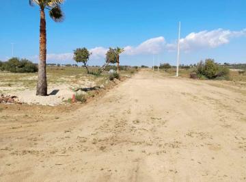 Terreno / Lote en Venta  Felipe Angeles · Excelente Ubicacion a Pie de Carretera Libre a Mexicali. a Mi Unos de La Caseta del Hongo. K.102
