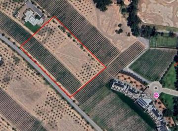 Terreno / Lote , San Miguel de Allende · Excelente Terreno en Viñedo San Francisco