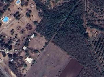 Terreno / Lote · 10000m² · Terreno - Ciudad Victoria Centro