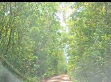 Terreno / Lote , Puerto Morelos · Terreno 2,4 Hectáreas con Titulo de Propiedad Leona Vicario