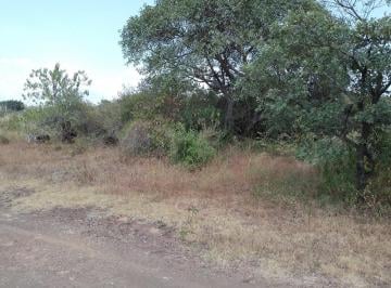 Terreno / Lote · 200m² · Terrenos en Lomas de Morillo Yautepec