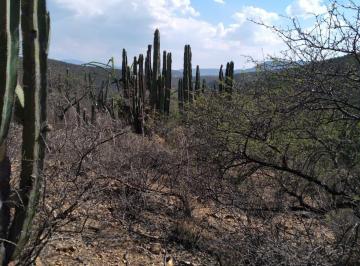 Terreno / Lote · 4780000m² · Terreno Venta en Tolimán, Qro - (4)