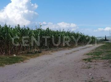 Terreno / Lote · 7250m² · Se Vende Terreno en San Josè Chiapa, Puebla