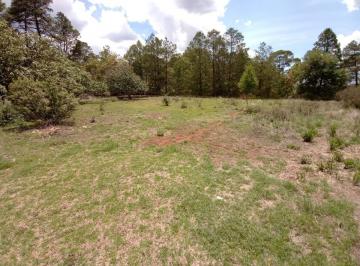 Terreno / Lote , Huasca de Ocampo · Se Vende Terreno en Huasca de 2,422 m² Ideal Para Cabañas