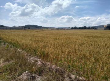 Terreno / Lote , Pachuca · Se Vende Terreno de 2.6 Ha Detras de Valle del Sol Pachuca Ideal Para Desarrollo