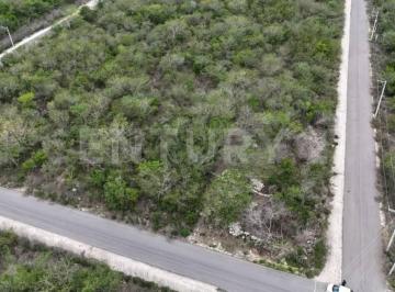 Terreno / Lote · 300m² · Cianea un Hogar en Armonía con La Naturaleza