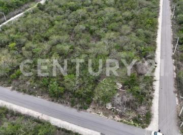 Terreno / Lote · 300m² · Cianea un Hogar en Armonía con La Naturaleza