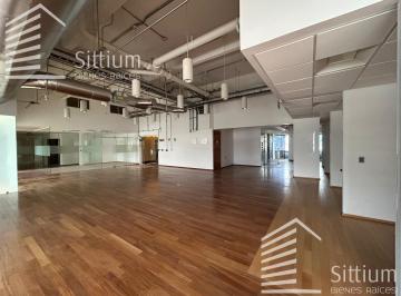 Oficina · 858m² · 14 Estacionamientos · Oficina en Renta - Ejercito Nacional - Piso 17 - 858 m²