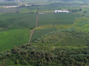 Terreno industrial · 2190000ha · Terreno Industrial en Tala