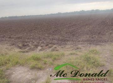 Terreno / Lote , Reynosa · Terreno 13 - 00 - 00 Ha