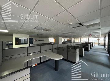 Oficina · 686m² · 11 Estacionamientos · Oficina en Renta - Ejercito Nacional - Piso 9 - 686 m²