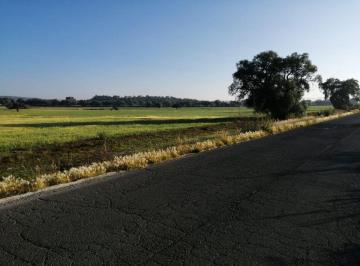 Terreno industrial , Zapotlán de Juárez · Terreno Industrial en Zapotlan Hidalgo de 90 Ha