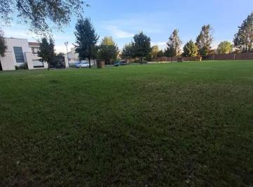 Terreno / Lote , Metepec · Terreno en Venta en Providencia