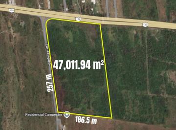 Terreno / Lote , Alvarado · Venta de 4.7 Hectáreas en Carretera La Aguada, Alvarado, Ver