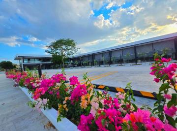 Local comercial , Mérida · Local en Renta en Temozón Norte en Mérida, Yucatán