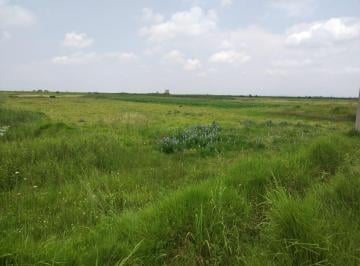 Terreno / Lote · 4603m² · Terreno Ejidal en Venta en San Nicolás Peralta, Lerma, Estado de México. - (4)