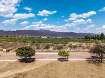Terreno / Lote · 6380m² · Terreno en Viñedos San Miguel