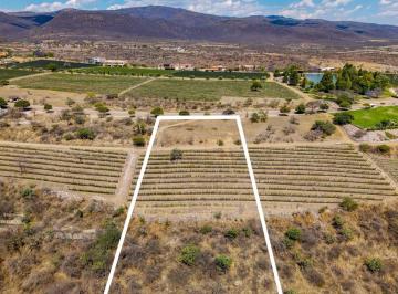Terreno / Lote · 6380m² · Terreno de 6380 m² en Venta en Ejido Calderón