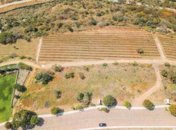 Terreno / Lote · 7055m² · Terreno de 7055 m² en Venta en Comonfort