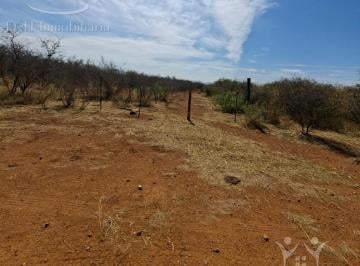 Terreno / Lote · 40000ha · Terreno en Ejido Nuevo Majalca
