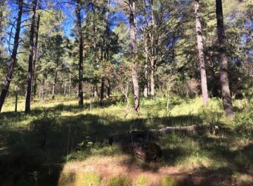 Terreno / Lote · 6100m² · Terreno en Venta en Tlazala de Isidro Fabela