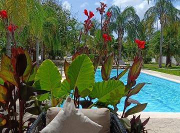 Casa de 2 habitaciones, Solidaridad · ¡Disponible! Casa Amueblada con Alberca y Seguridad 24/7 en Residencial Los Oliv