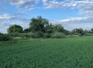 Terreno / Lote , Apaseo el Grande · Terreno Completo o en Lotes