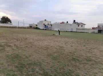 Terreno / Lote en Renta Nueva Alemania · Renta de Terreno