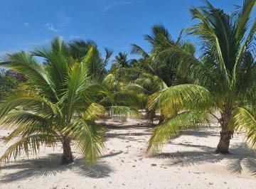 Terreno / Lote , Telchac Puerto · Terreno en Venta en Telchac Puerto| 1,649 m² | a 300 m de La Playa |escriturado y Listo Para Construi