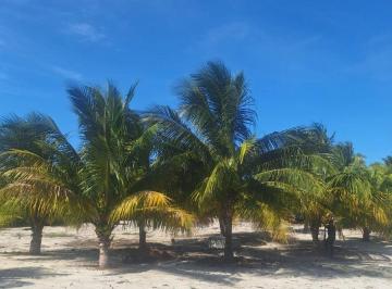 Terreno / Lote , Telchac Puerto · Terreno en Venta en Telchac Puerto| 1,649 m² | a 300 m de La Playa |escriturado