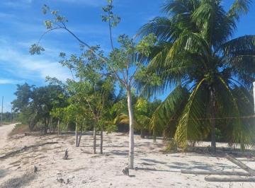 Terreno / Lote , Telchac Puerto · Terreno en Venta en Telchac Puerto| 1,649 m² | a 300 m de La Playa |escriturado