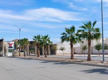 Terreno / Lote · 175m² · Terreno Residencial en Venta en Cd. La Encantada, Gómez Palacio, Dgo.