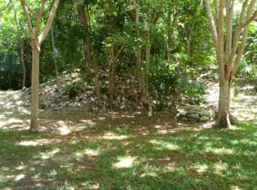 Terreno / Lote · 460000m² · Terreno Agrícola de 46 Hectáreas en Quintana Roo | Rancho, Finca o Proyecto Productivo