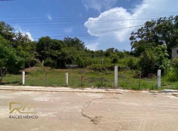 Terreno / Lote · 324m² · Terreno en Venta Col. Vista Hermosa, Pueblo Viejo, Ver.