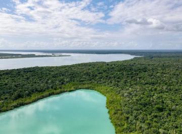 Terreno / Lote · 1000m² · Terreno en Venta en Buenavista Bacalar