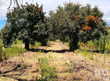 Terreno / Lote · 3705m² · Se Vende Terreno en La Joya de Santiago Mextla, Huejotzingo. Excelente Para Fraccionamiento (3,705 M²)