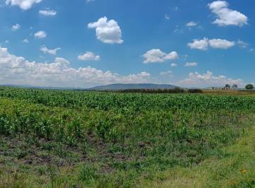 Terreno comercial · 11600m² · Venta de Terreno en Jilotepec Estado de México - (4)