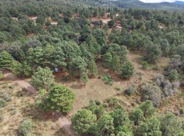 Terreno / Lote , Tapalpa · 1 Hectárea en Los Espinos, Tapalpa – Ideal Para Cabañas, Glamping o Desarrollo