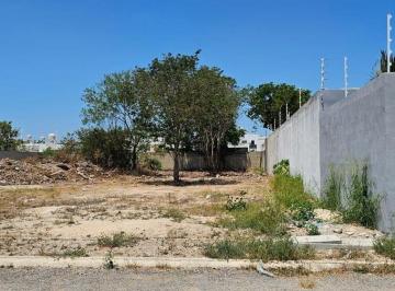 Terreno / Lote · 602m² · Terreno en Dzityá