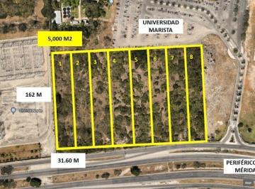 Terreno / Lote · 5072m² · Terreno en Venta/ Renta en Temozón Norte, Mérida Yucatán