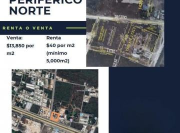 Terreno / Lote · 10000m² · Terreno en Renta o Venta en Periferico Norte, Mérida Yucatán